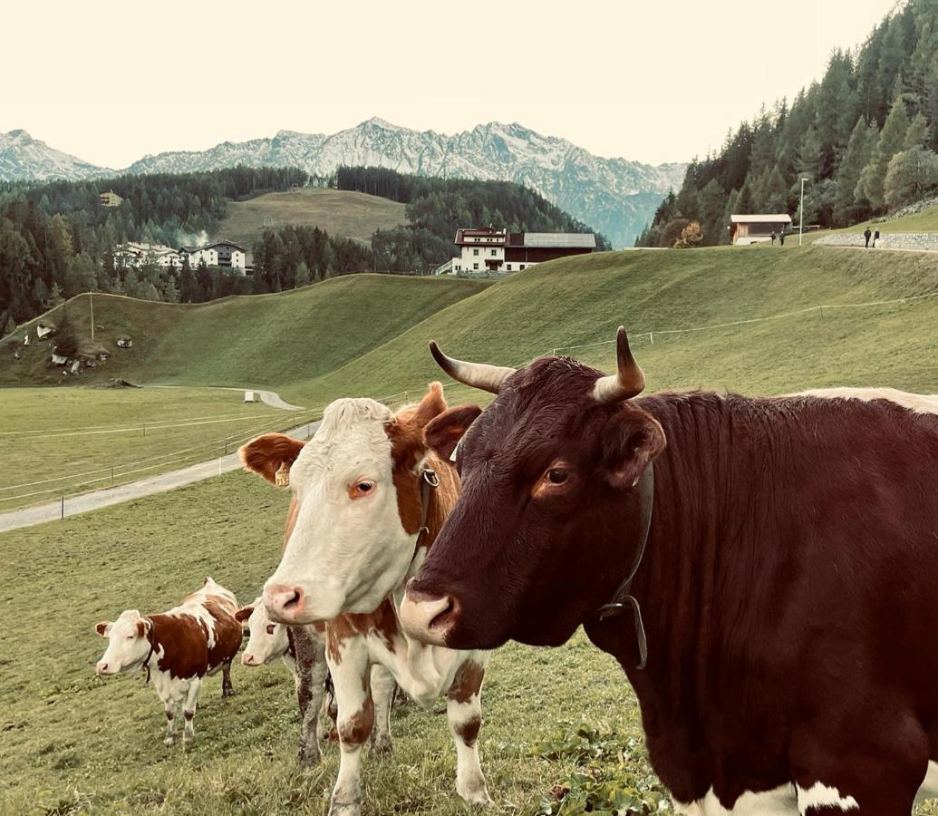 Haus Sennhof Lägenhet Umhausen Exteriör bild